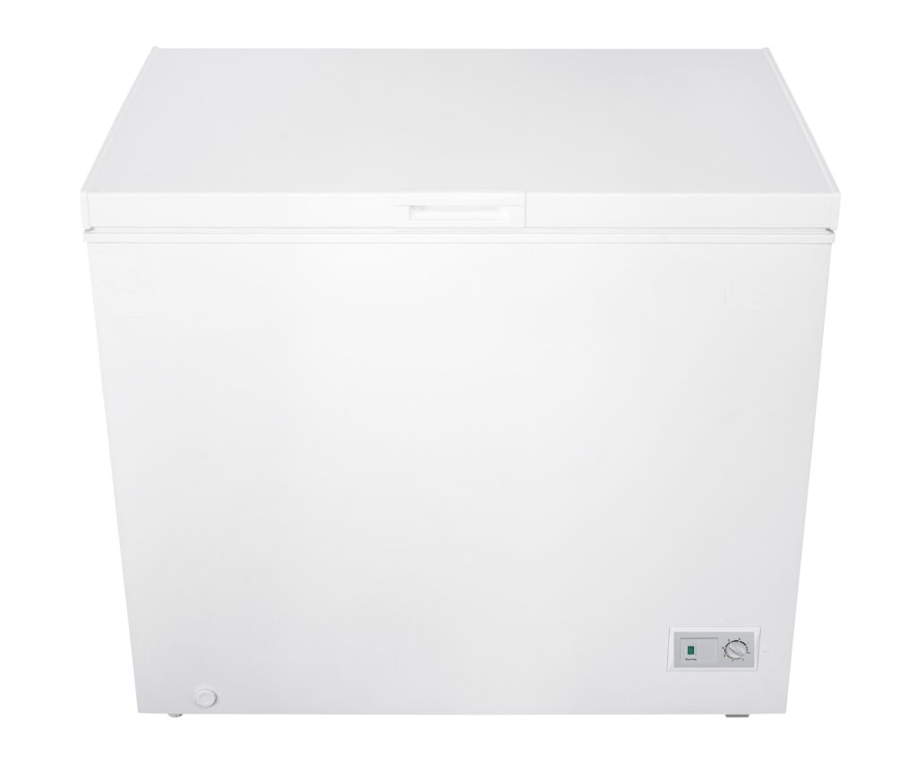 Freezer Snaige FH26ISM-T1000EH