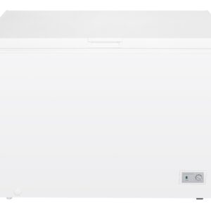Freezer Snaige FH29ISM-T1000EH