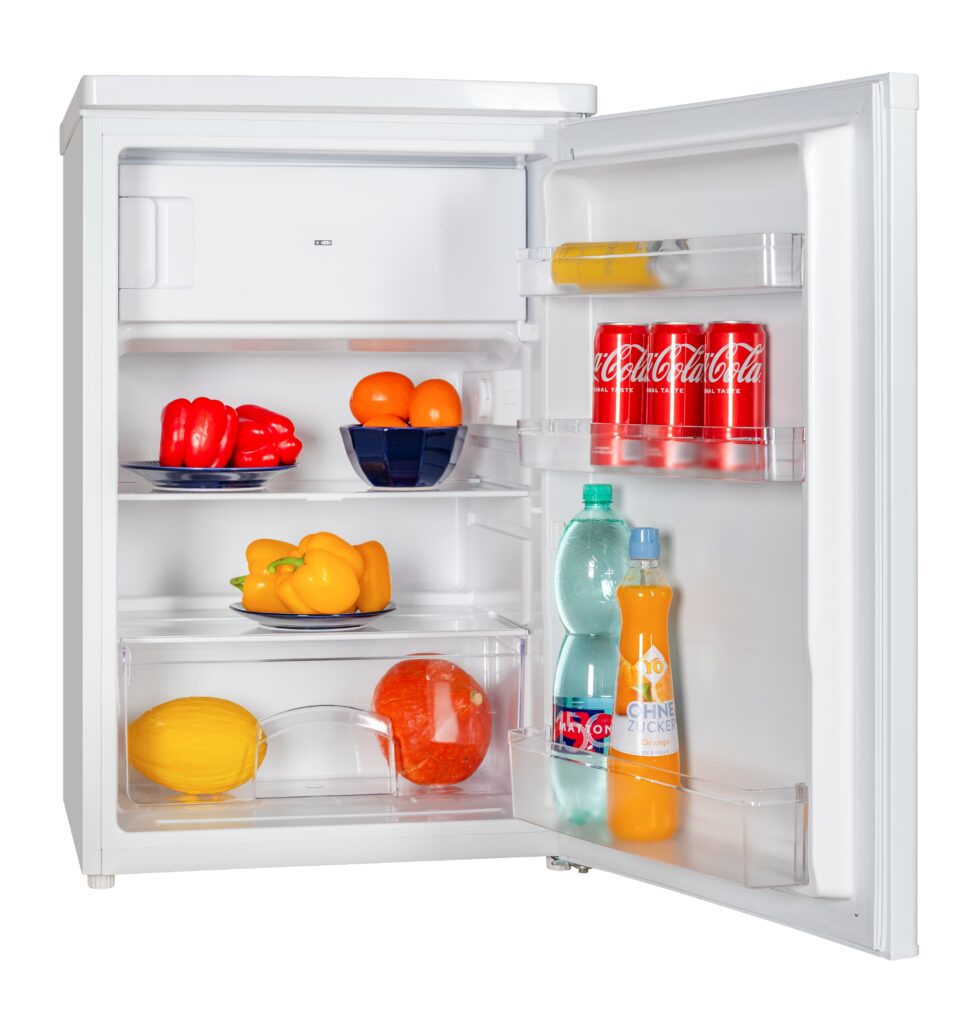 Refrigerator Snaige R 11SM-TT000EH
